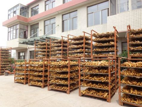 点击查看详细信息<br>标题：厂容厂貌6 阅读次数：61