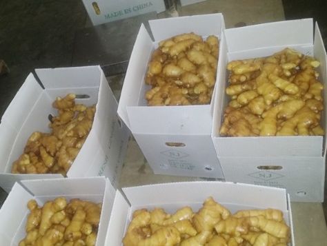 点击查看详细信息<br>标题：保鲜姜20 阅读次数：68